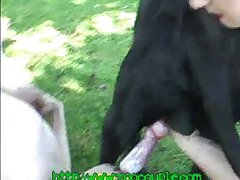 Porno Animal Gratis Videos