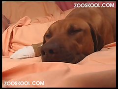 Xxx Hd Porn Tv Videos