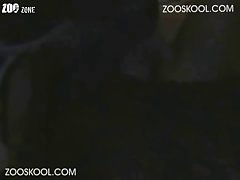 Xxx Porn It