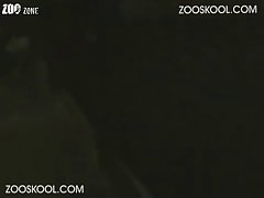 Xxx Porn It