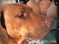Kylie Cox Xxx Porn