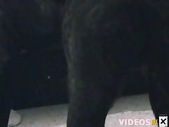 Xxx Japan Rape Porn