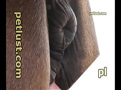 Follando A Mama Dormida Xxx Porn