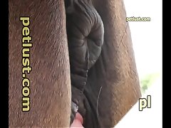 Follando A Mama Dormida Xxx Porn