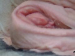 Kacey Kox Porn Xxx