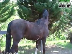Porn Fluffers Xxx