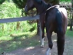 Porn Fluffers Xxx