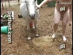Lady Godiva Porn Xxx Porn