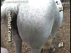 Lady Godiva Porn Xxx Porn