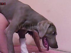 Lela Star Pov Fuck Porn Xxx