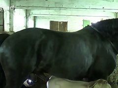 Hors Xxx Porn