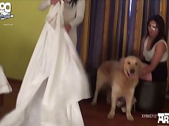 Xxx Aunty Sex Porn