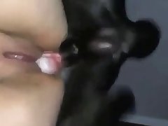 Xxx Porn D