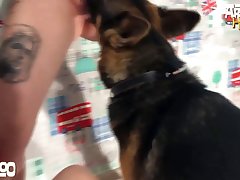 Cartoon Animal Sex