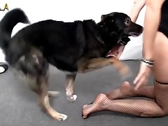 Animal Sex Tube Porn