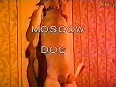 Spain Legalize Animal Sex