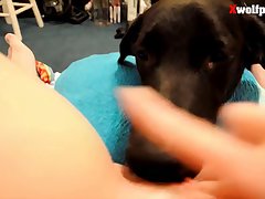 Penny Loren Dog Porn