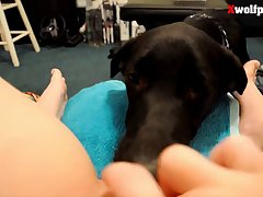 Penny Loren Dog Porn