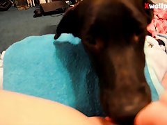 Penny Loren Dog Porn