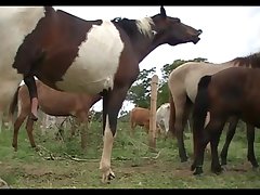 Pink In Nature Mating Scene 01