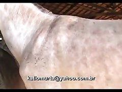 Light Madonna Ass And Stud 1