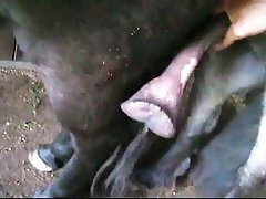 Clip0015 Zetatracker