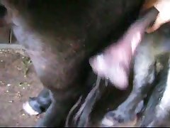 Clip0015 Zetatracker