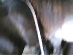 Clip0015 Zetatracker