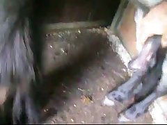 Clip0015 Zetatracker