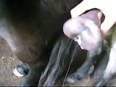 Clip0015 Zetatracker
