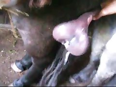 Clip0015 Zetatracker