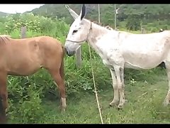 Madonna Mare Vs Jack Scene 03