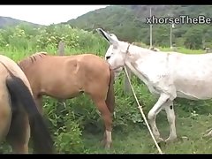 Madonna Mare Vs Jack Scene 03