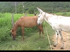 Madonna Mare Vs Jack Scene 03