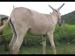 Madonna Mare Vs Jack Scene 03