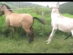 Madonna Mare Vs Jack Scene 03