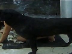 Filipino Dog Porn
