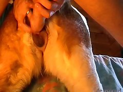 Man Creampies Dog Porn