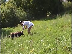 Sex Mit Hund Zoophilie