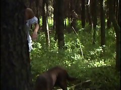 Sex Mit Hund Zoophilie