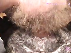 Artof Dog Porn