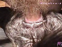 Artof Dog Porn