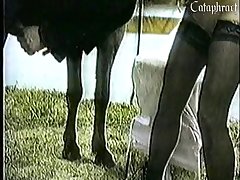 Ameture Dog Porn