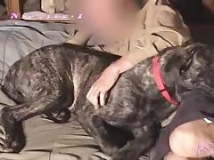 Couples With Dog Porn