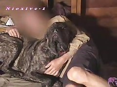 Couples With Dog Porn