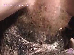 Couples With Dog Porn