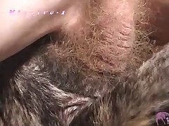 Couples With Dog Porn