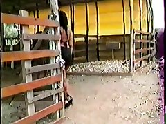 Lana Horse Porn