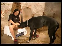 Video De Sexo Espanol