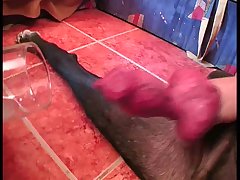 Blond Horse Porn